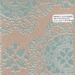 Birchville Cat Motel with Anla Courtis