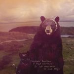 Christophe Bailleau & Neal Williams