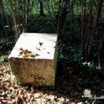 Enrico Coniglio – Elisa Marzorati