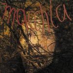 Limpe Fuchs/Christoph Heemann/Timo van Luijk