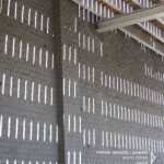 Pierre Gerard / Shinkei