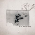 Sketches for Albinos