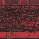 Corrado Maria De Santis