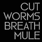 Cut Worms
