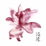 David Cordero & dot & tape dot