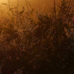 Edu Comelles & Rafa Ramos Sania