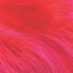 Klara Lewis & Simon Fisher Turner