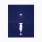 Manuel Mota & David Grubbs