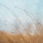 Roedelius & Arnold Kasar