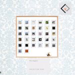 V.A. Exhibition #100