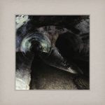 Various Artists – «Future Chorus»