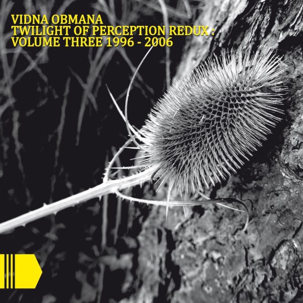 Vidna Obmana